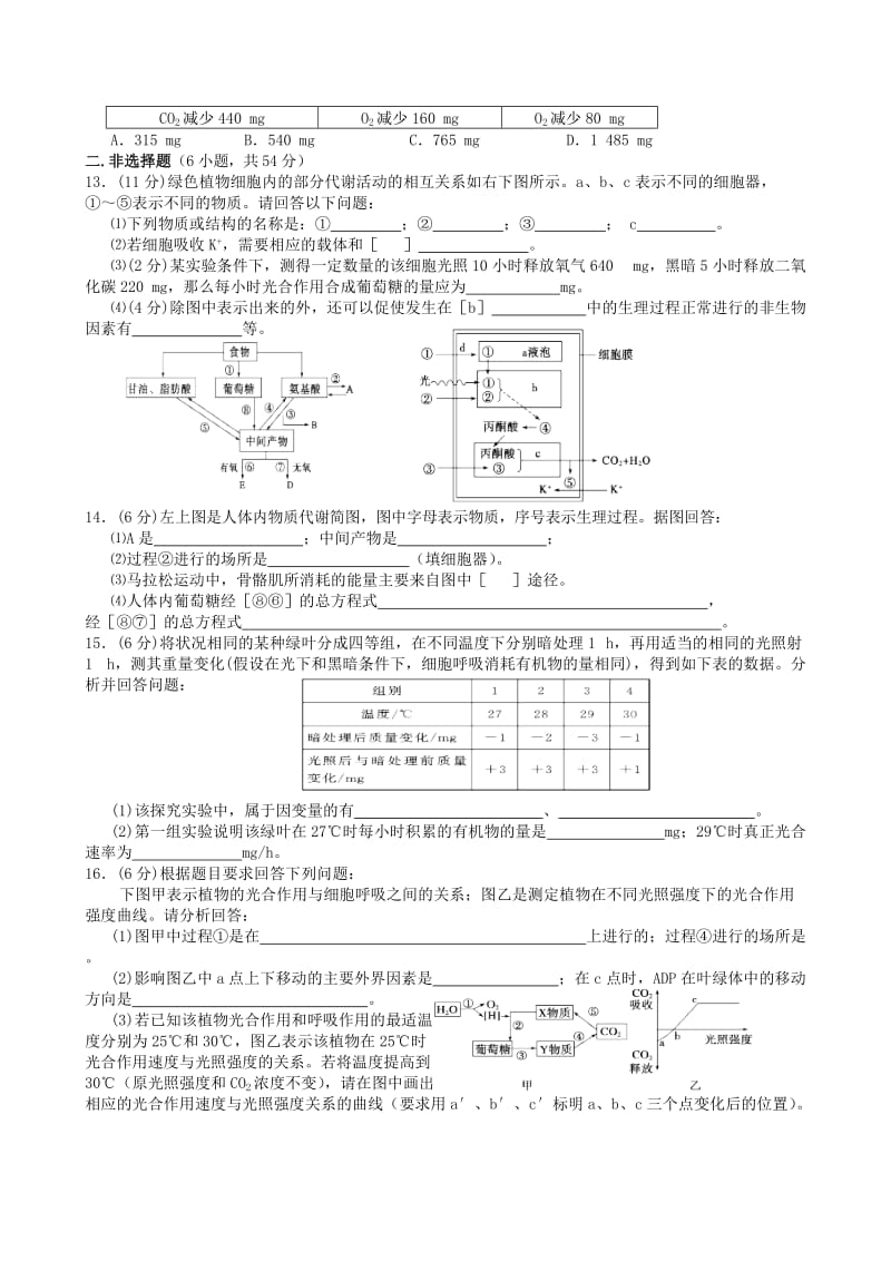 2019-2020年高三生物一轮复习 能量之源 光与光合作用试题.doc_第3页