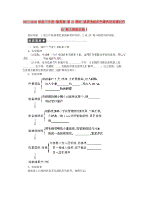 2019-2020年高中生物 第五章 第22課時(shí) 捕獲光能的色素和結(jié)構(gòu)課時(shí)作業(yè) 新人教版必修1.doc