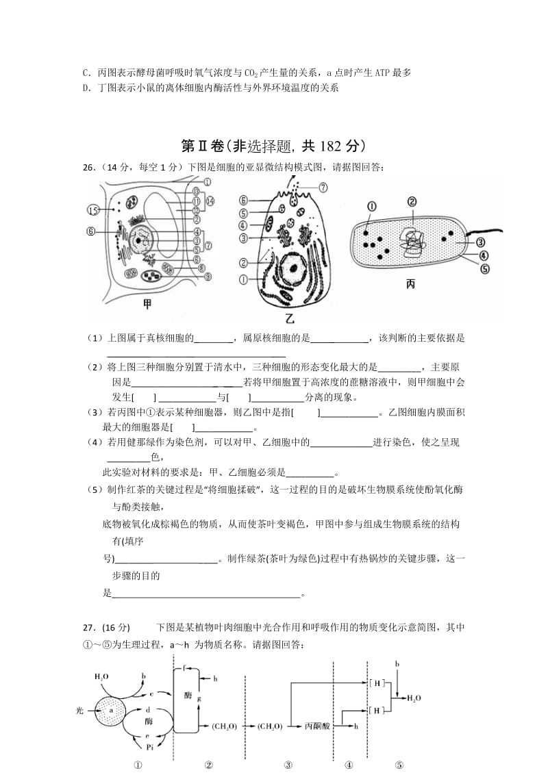 2019-2020年高三上学期期中联考试题生物.doc_第3页