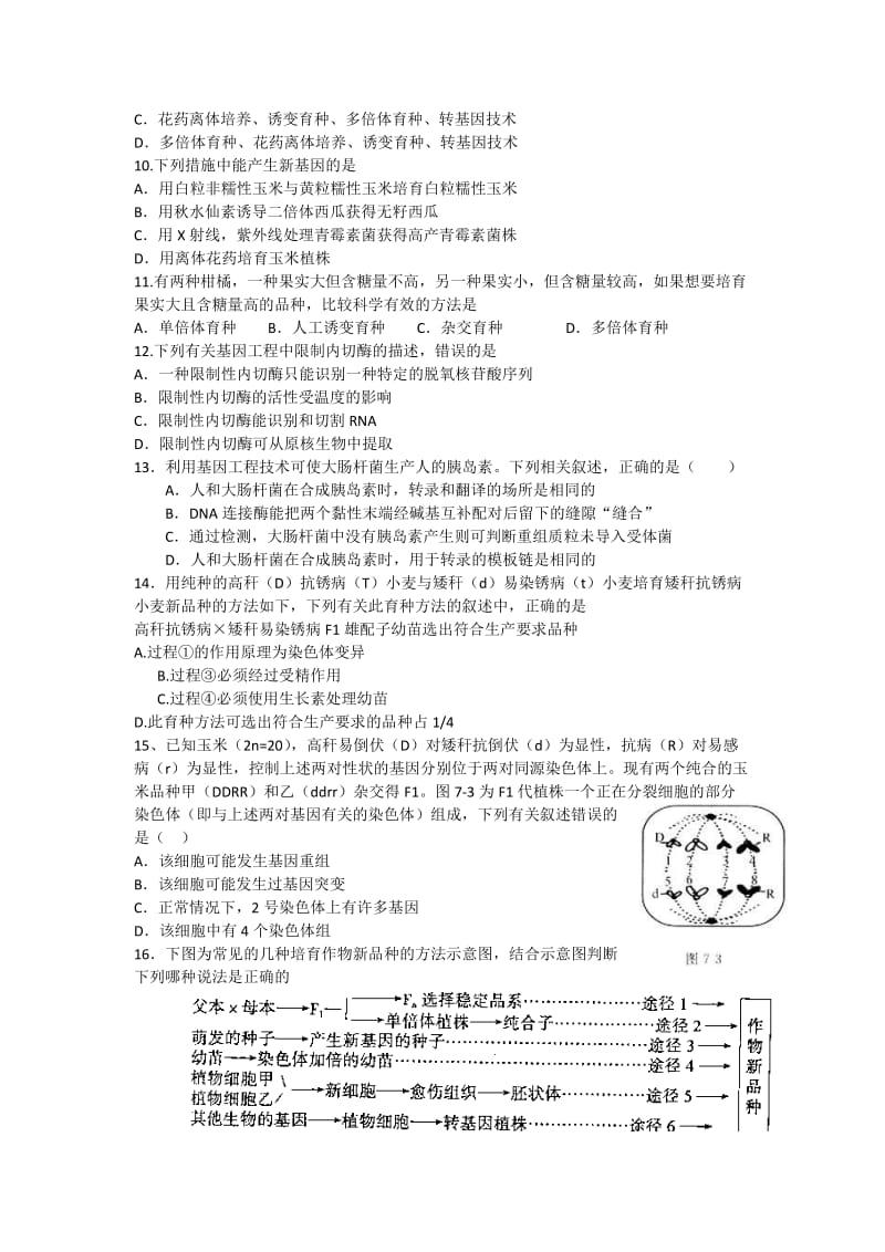 2019-2020年高中生物 第六章 从杂交育种到基因工程单元测试 新人教版必修2.doc_第2页