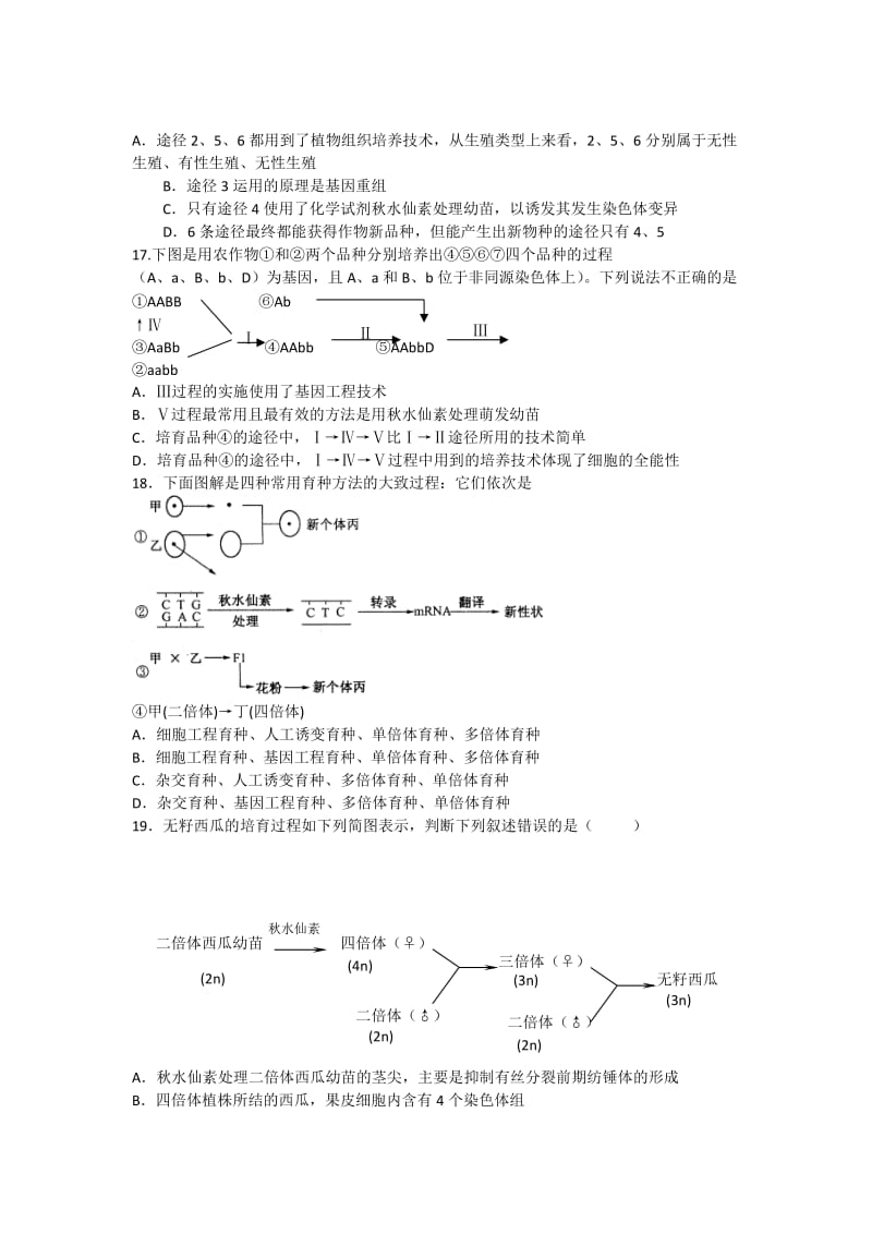 2019-2020年高中生物 第六章 从杂交育种到基因工程单元测试 新人教版必修2.doc_第3页