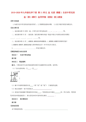 2019-2020年九年級化學下冊 第11單元 鹽 化肥 課題1 生活中常見的鹽（第1課時）鹽導(dǎo)學案（新版）新人教版.doc