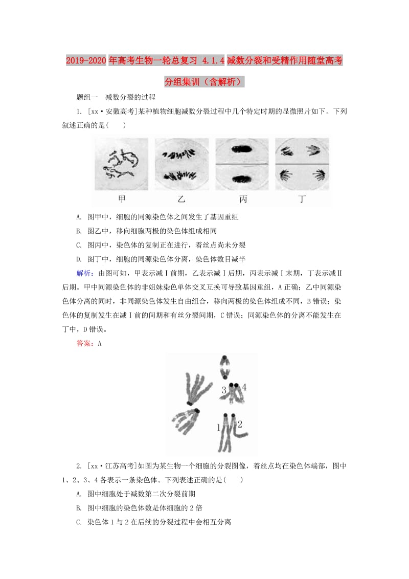 2019-2020年高考生物一轮总复习 4.1.4减数分裂和受精作用随堂高考分组集训（含解析）.doc_第1页