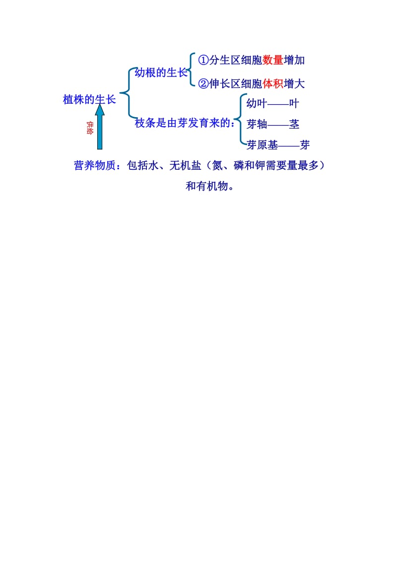 2019-2020年七年级生物上册第三单元第二章第二节植株的生长教案新版新人教版.doc_第3页