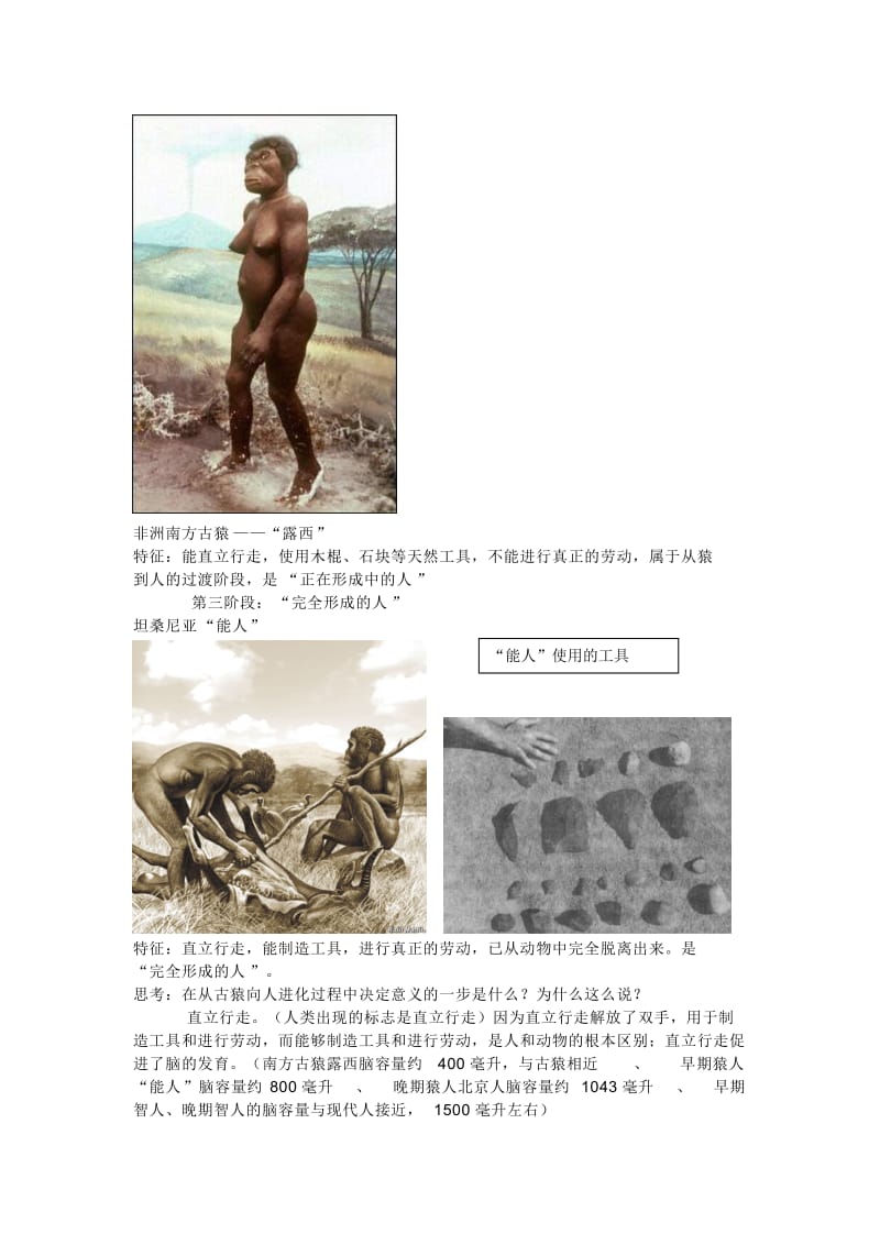 2019-2020年九年级历史 第一课人类的形成教案 人教版.doc_第3页