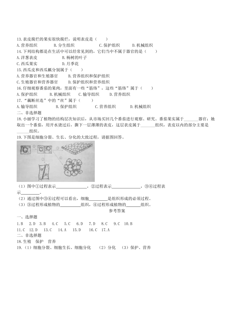 2019-2020年七年级生物上册2.2.3植物体的结构层次双基双测新版新人教版.doc_第2页