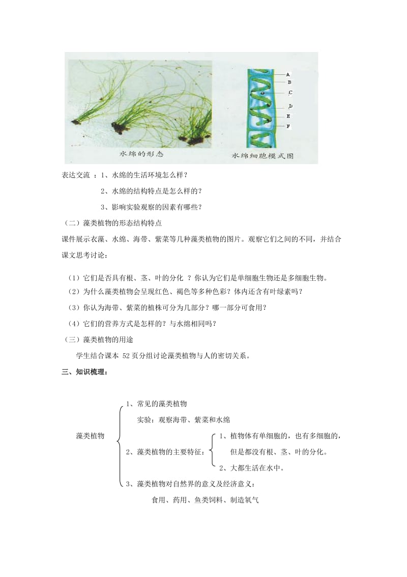 2019-2020年七年级生物上册 二、1、1、1绿色植物主要类群A教案 济南版.doc_第2页