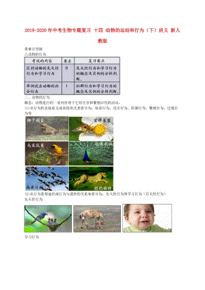 2019-2020年中考生物專題復習 十四 動物的運動和行為（下）講義 新人教版.doc