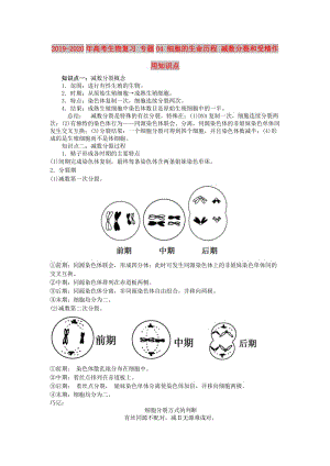 2019-2020年高考生物復(fù)習(xí) 專題04 細(xì)胞的生命歷程 減數(shù)分裂和受精作用知識(shí)點(diǎn).doc