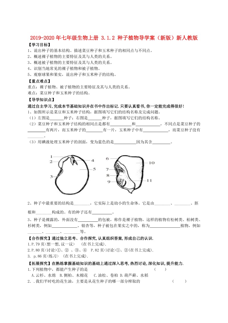 2019-2020年七年级生物上册 3.1.2 种子植物导学案（新版）新人教版.doc_第1页