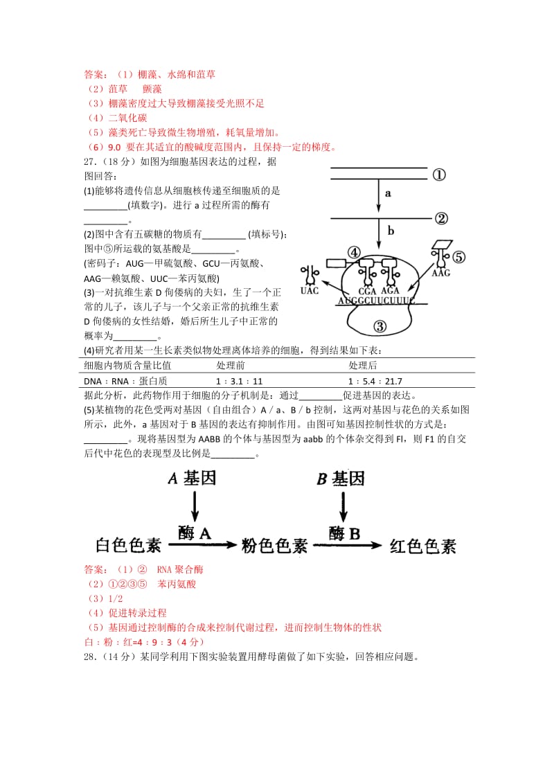 2019年高三第二次调研考试生物试题.doc_第3页