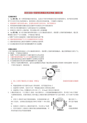 2019-2020年高考生物重點(diǎn)考點(diǎn)突破 基因工程.doc