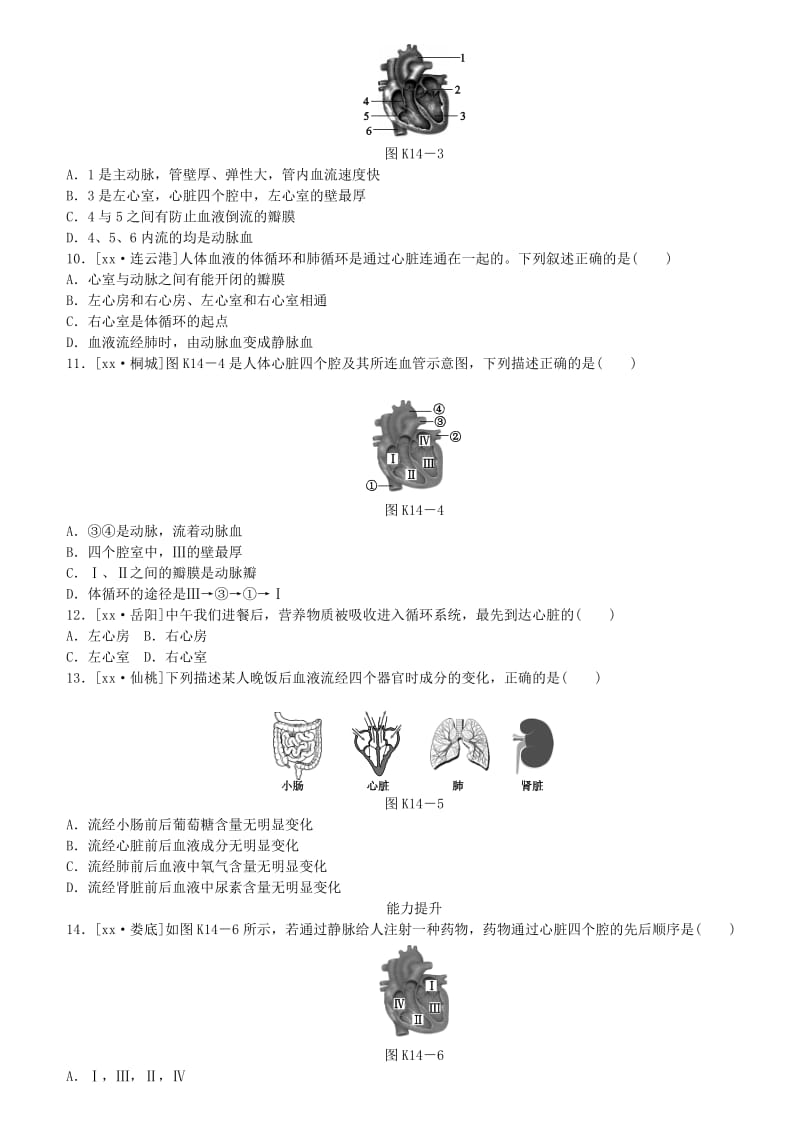 2019-2020年中考生物复习方案 主题五 生物圈中的人 第14课时 心脏与血液循环作业手册.doc_第2页