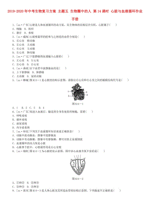 2019-2020年中考生物復(fù)習(xí)方案 主題五 生物圈中的人 第14課時(shí) 心臟與血液循環(huán)作業(yè)手冊(cè).doc