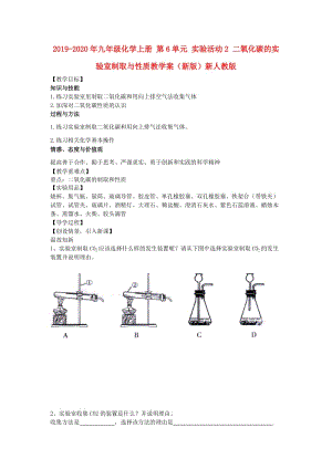 2019-2020年九年級(jí)化學(xué)上冊(cè) 第6單元 實(shí)驗(yàn)活動(dòng)2 二氧化碳的實(shí)驗(yàn)室制取與性質(zhì)教學(xué)案（新版）新人教版.doc