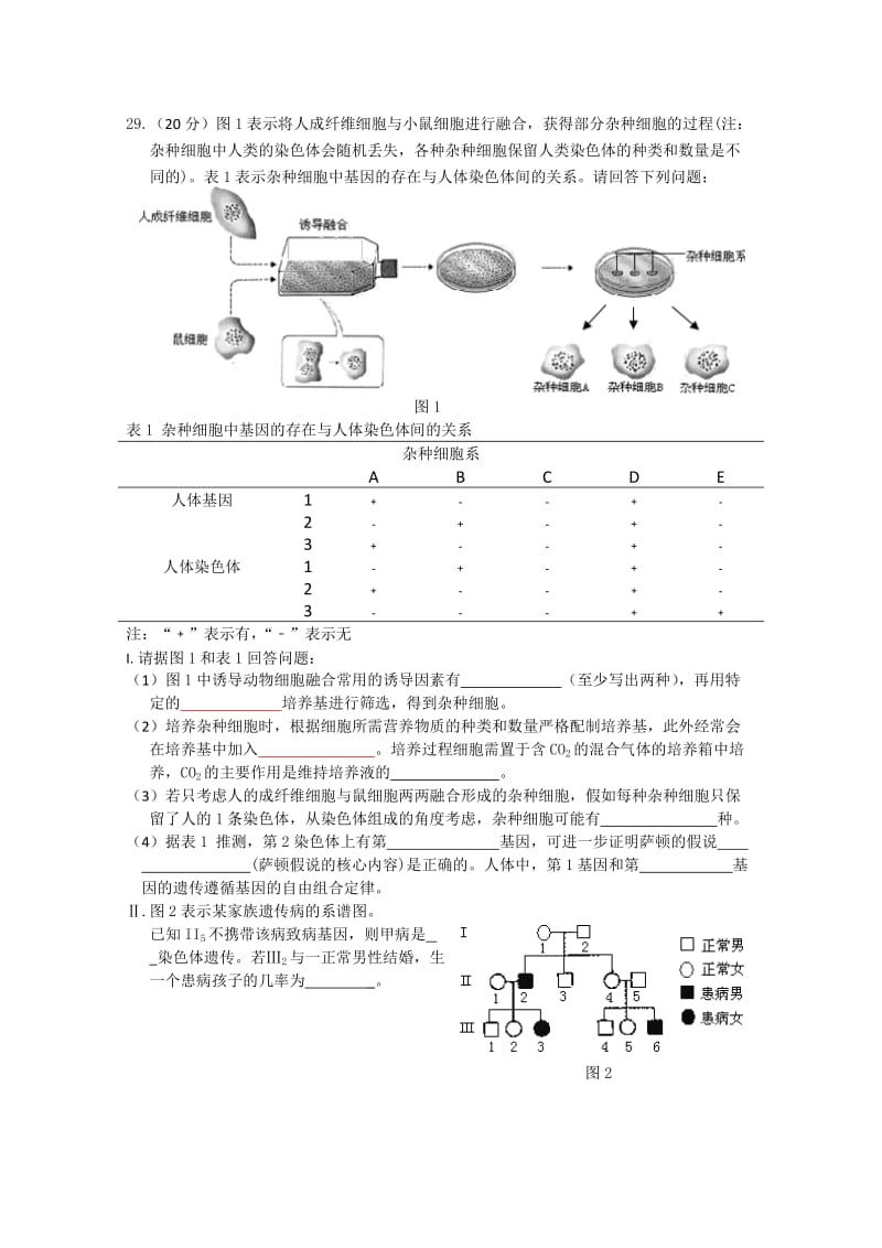 2019年高三二模理综生物试题.doc_第2页