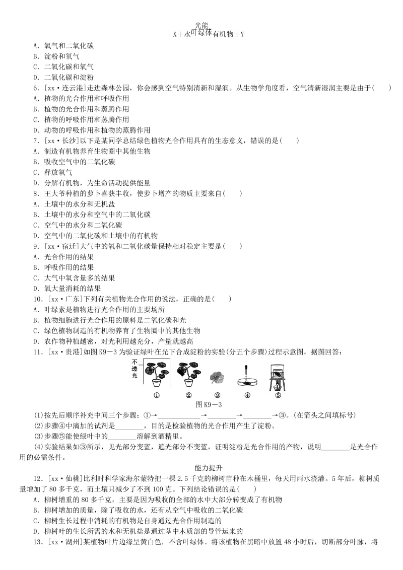 2019-2020年中考生物复习方案 主题四 生物圈中的绿色植物 第9课时 绿色植物的光合作用作业手册.doc_第2页