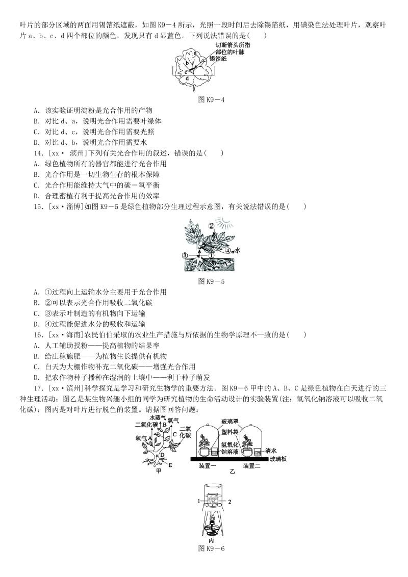 2019-2020年中考生物复习方案 主题四 生物圈中的绿色植物 第9课时 绿色植物的光合作用作业手册.doc_第3页