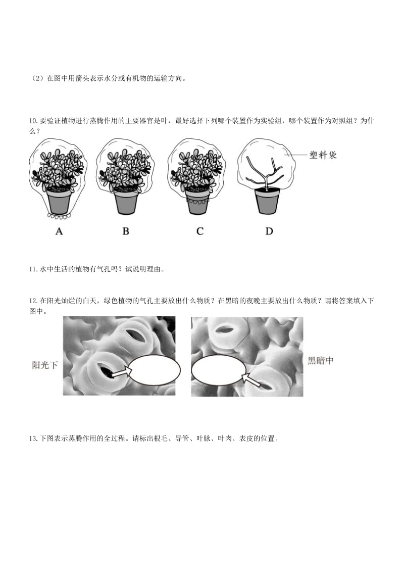 2019-2020年七年级生物上册3.3绿色植物参与生物圈的水循环同步练习新版新人教版.doc_第2页