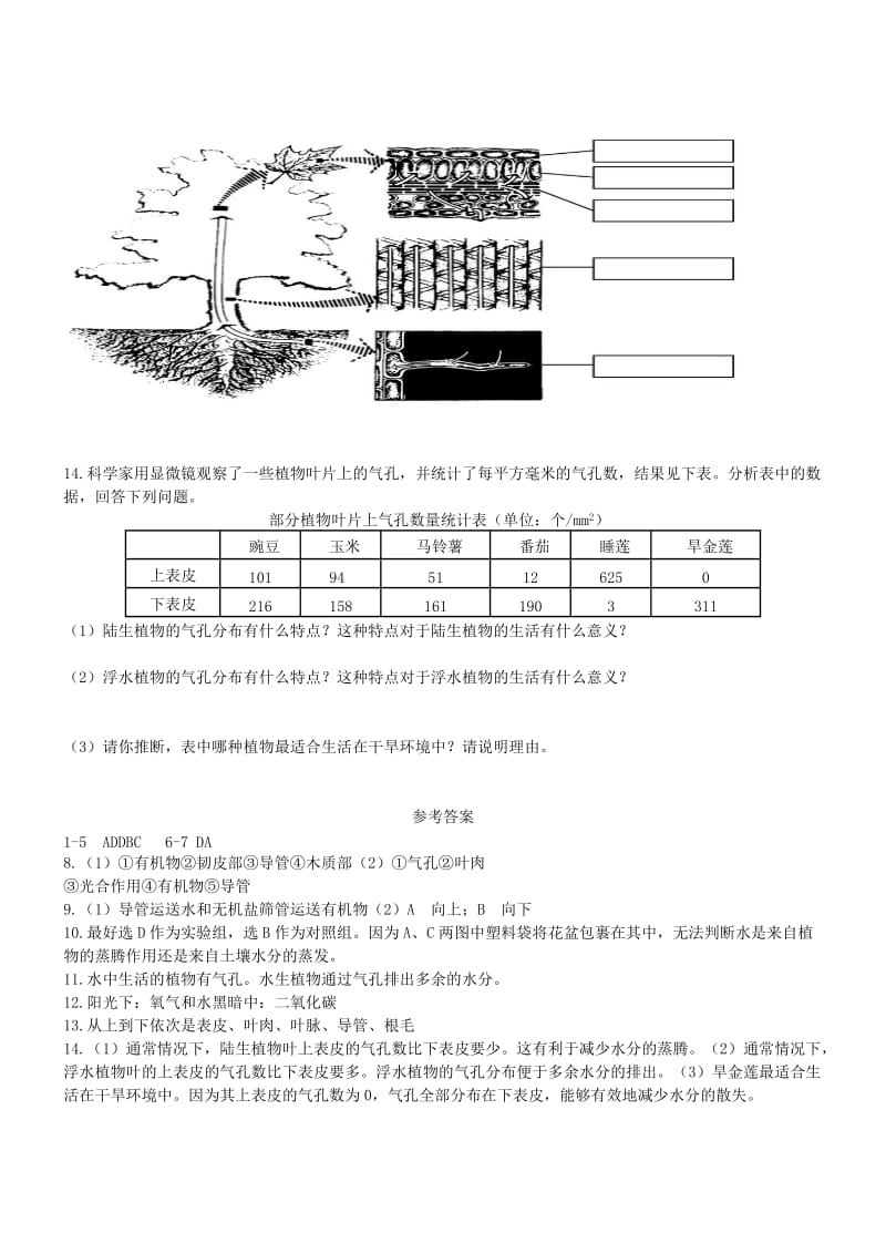 2019-2020年七年级生物上册3.3绿色植物参与生物圈的水循环同步练习新版新人教版.doc_第3页