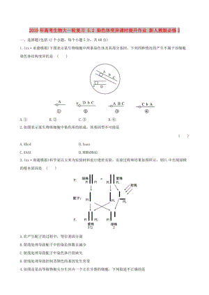 2019年高考生物大一輪復(fù)習(xí) 5.2 染色體變異課時(shí)提升作業(yè) 新人教版必修2.doc