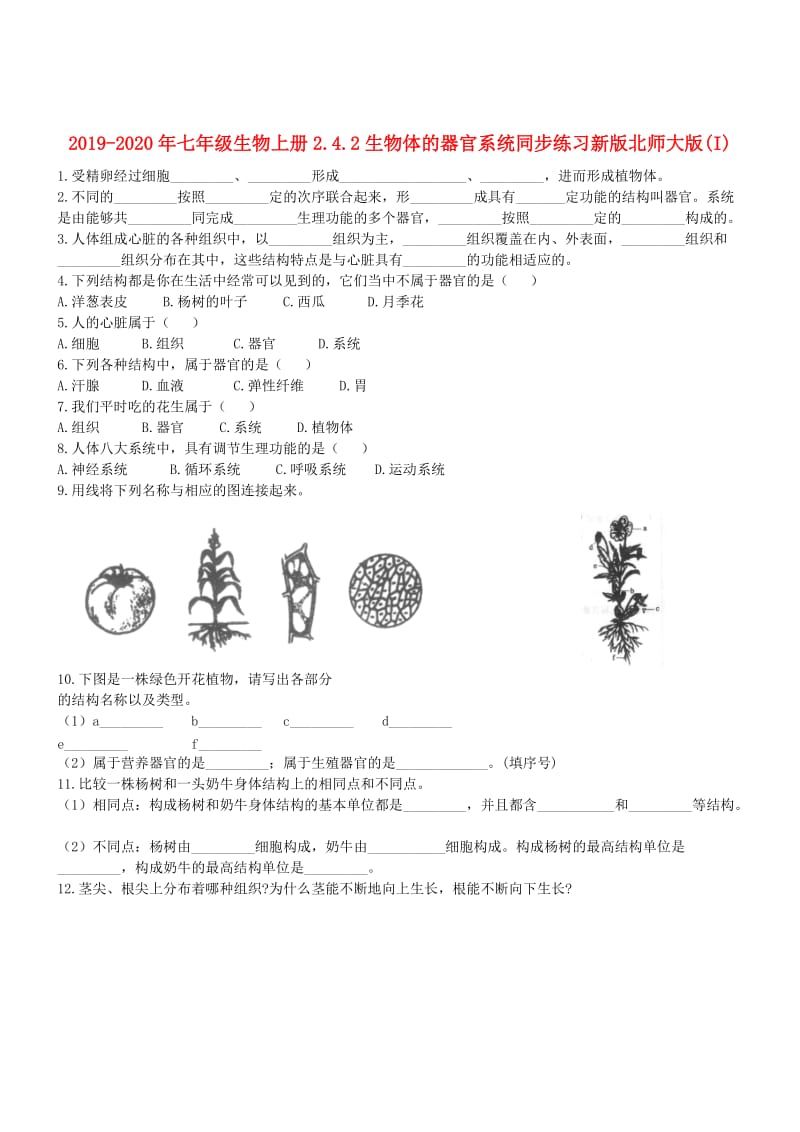 2019-2020年七年级生物上册2.4.2生物体的器官系统同步练习新版北师大版(I).doc_第1页