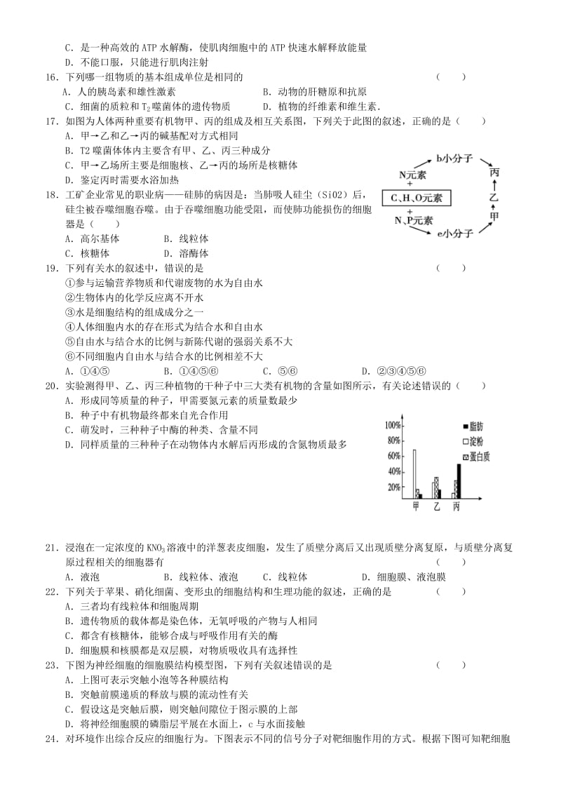 2019-2020年高考生物优题训练系列（6）.doc_第3页