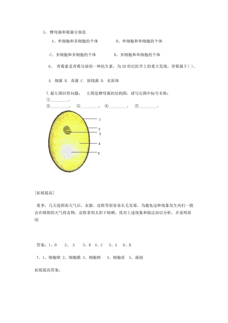 2019-2020年七年级生物上册 第三章第三节 真菌教案 济南版 .doc_第3页