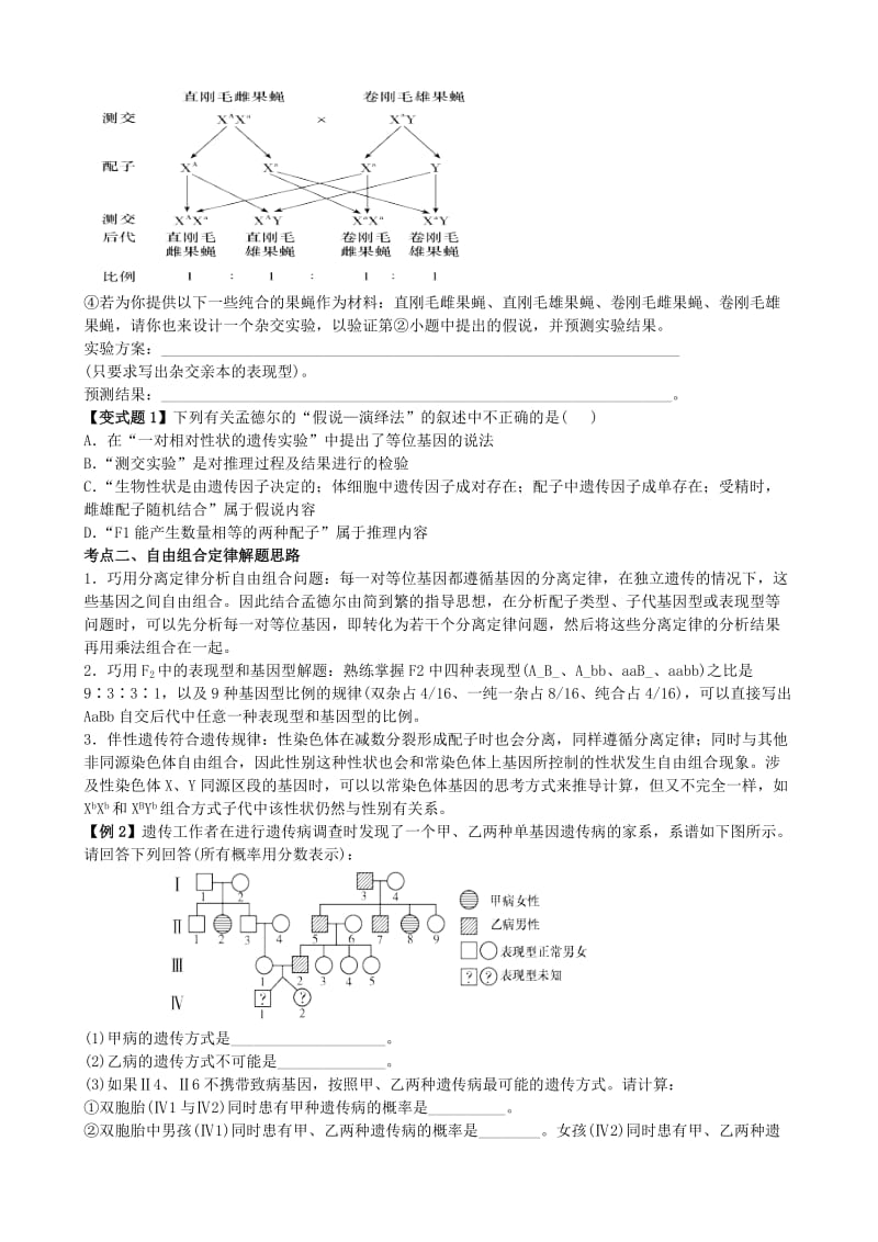 2019-2020年高考生物复习 专题六 遗传的基本规律.doc_第3页