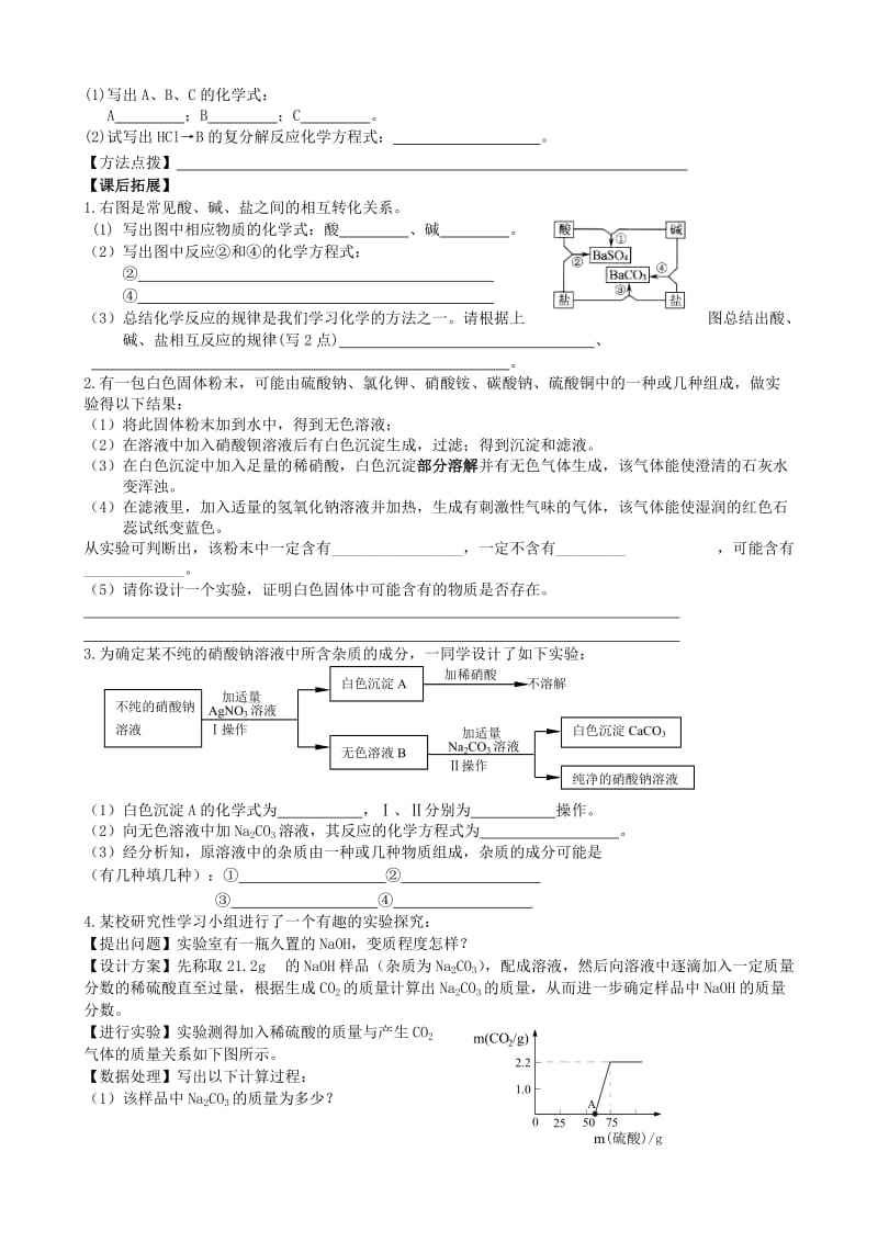 2019-2020年九年级化学 中考专题复习 专题4 酸碱盐二 人教新课标版.doc_第3页