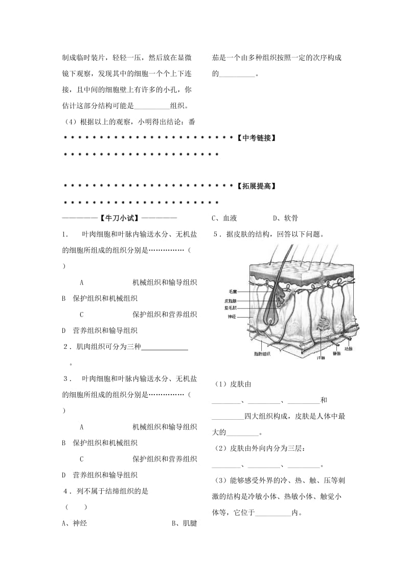 2019-2020年七年级科学上册《显微镜下的各种生物》教案11 浙教版.doc_第2页