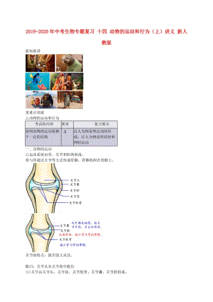 2019-2020年中考生物專題復(fù)習(xí) 十四 動(dòng)物的運(yùn)動(dòng)和行為（上）講義 新人教版.doc