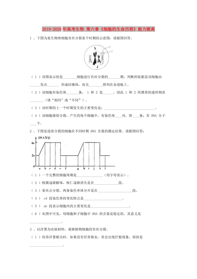 2019-2020年高考生物 第六章《细胞的生命历程》能力提高.doc_第1页