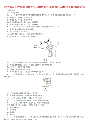 2019-2020年中考生物 第四單元 生物圈中的人 第16課時(shí) 人體內(nèi)物質(zhì)的排出課時(shí)作業(yè).doc