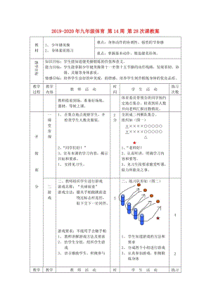 2019-2020年九年級(jí)體育 第14周 第28次課教案.doc