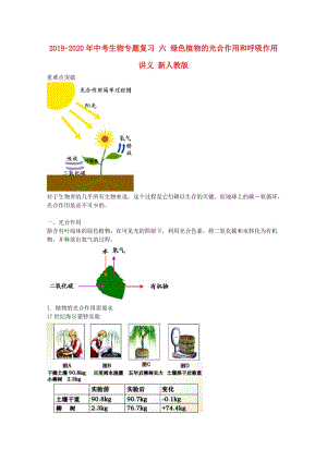 2019-2020年中考生物專題復習 六 綠色植物的光合作用和呼吸作用講義 新人教版.doc