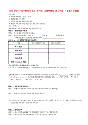 2019-2020年九年級(jí)化學(xué)下冊(cè) 第六章《溶解現(xiàn)象》復(fù)習(xí)學(xué)案 （新版）滬教版.doc