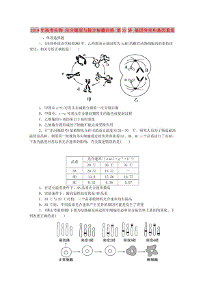 2019年高考生物 拉分題型與提分秘籍訓練 第22講 基因突變和基因重組.doc