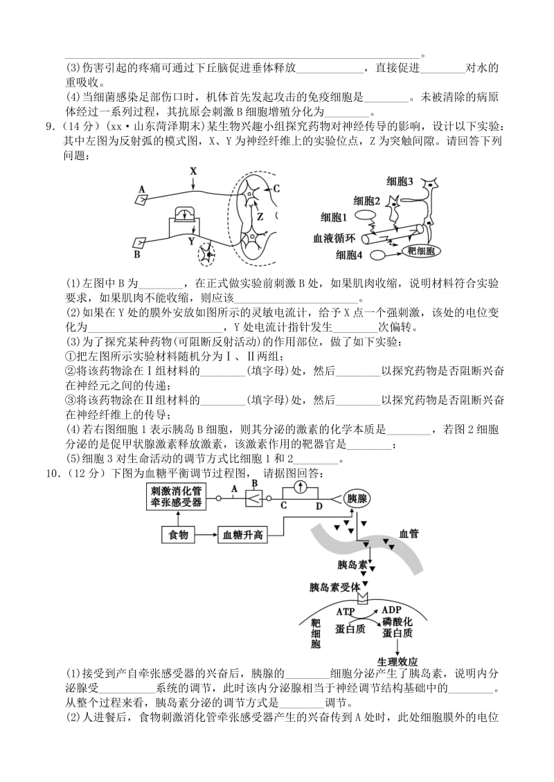 2019-2020年高考生物复习 专题11 动物生命活动调节（A卷）.doc_第3页