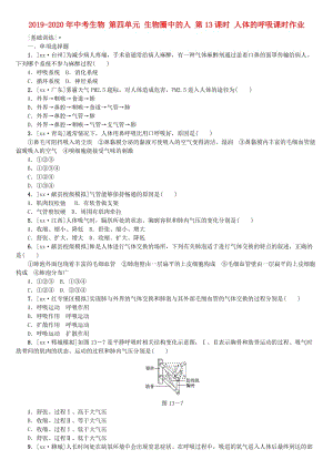 2019-2020年中考生物 第四單元 生物圈中的人 第13課時 人體的呼吸課時作業(yè).doc