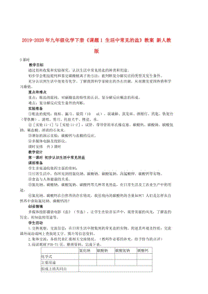 2019-2020年九年級(jí)化學(xué)下冊(cè)《課題1 生活中常見的鹽》教案 新人教版.doc