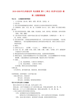 2019-2020年九年級化學(xué) 考點(diǎn)梳理 第十二單元《化學(xué)與生活》教案 人教新課標(biāo)版.doc