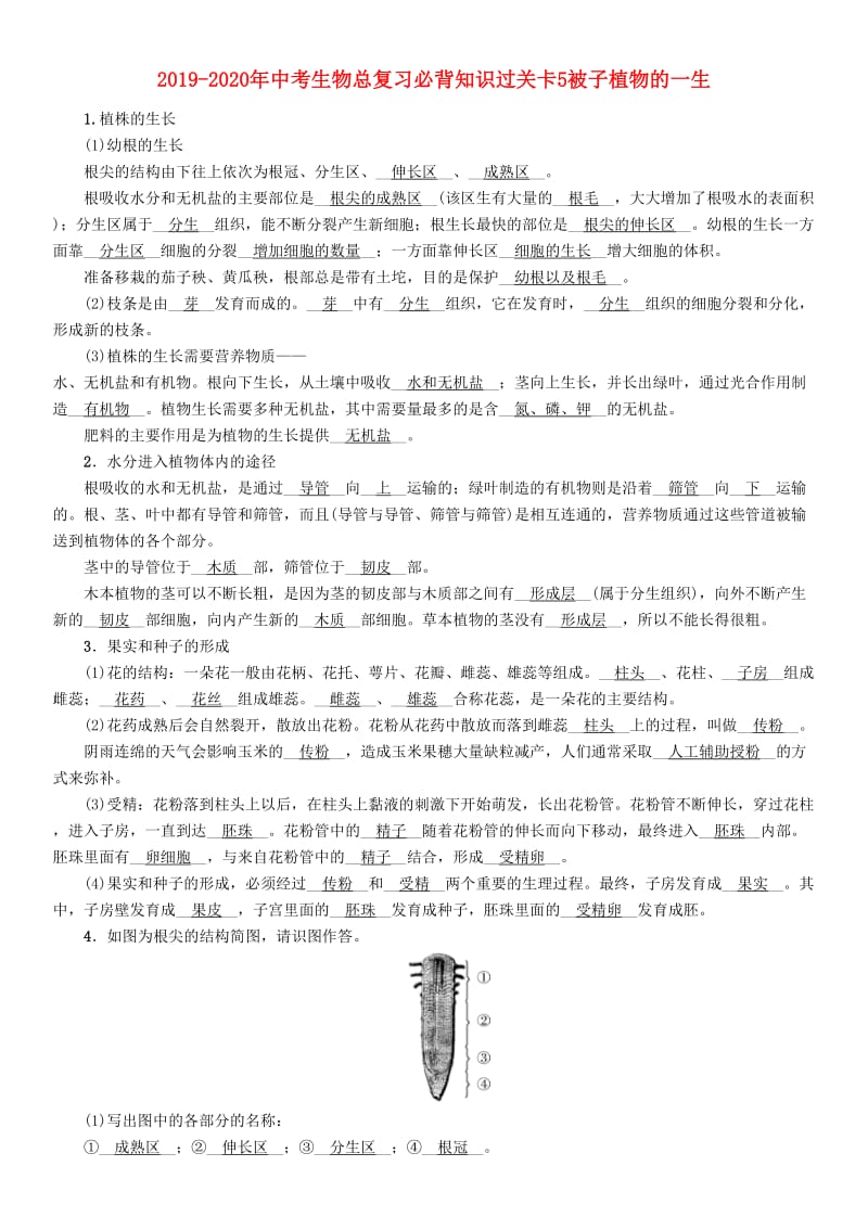 2019-2020年中考生物总复习必背知识过关卡5被子植物的一生.doc_第1页