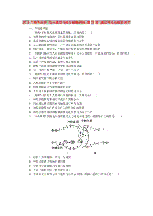 2019年高考生物 拉分題型與提分秘籍訓(xùn)練 第27講 通過神經(jīng)系統(tǒng)的調(diào)節(jié).doc