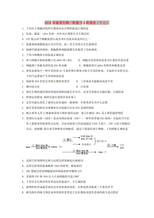 2019年高考生物一輪復(fù)習(xí)8班培優(yōu)（十三）.doc