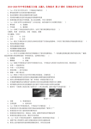 2019-2020年中考生物復(fù)習(xí)方案 主題九 生物技術(shù) 第27課時(shí) 生物技術(shù)作業(yè)手冊.doc