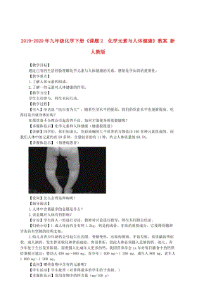 2019-2020年九年級(jí)化學(xué)下冊(cè)《課題2 化學(xué)元素與人體健康》教案 新人教版.doc