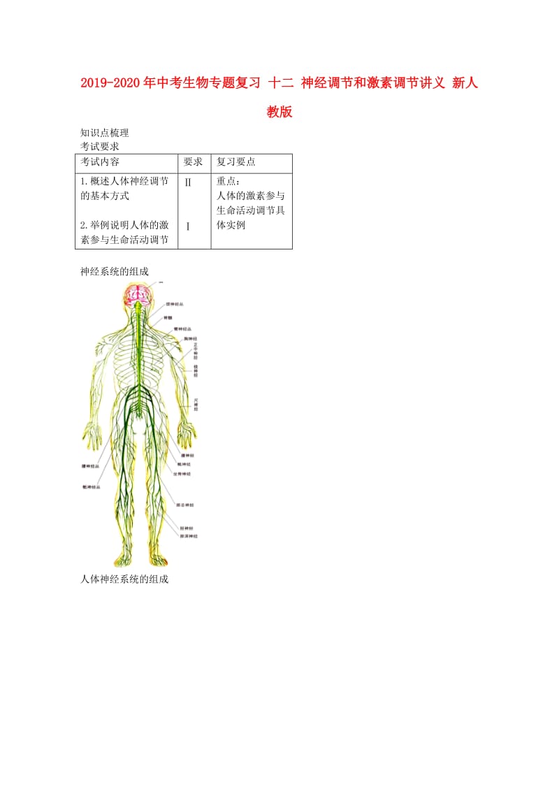 2019-2020年中考生物专题复习 十二 神经调节和激素调节讲义 新人教版.doc_第1页