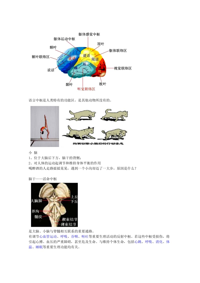 2019-2020年中考生物专题复习 十二 神经调节和激素调节讲义 新人教版.doc_第3页