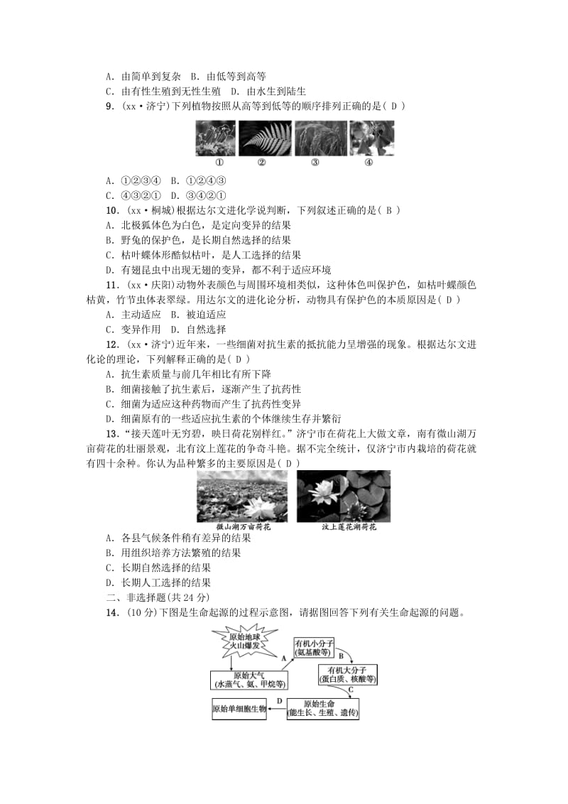 2019-2020年中考生物第26讲生命起源和生物进化复习练习.doc_第2页